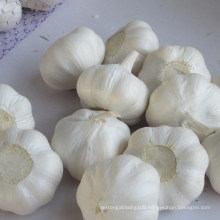 High quality organic pure white fresh garlic from Shandong China